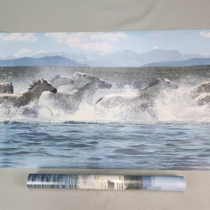 Warner Wild Horses Animal Print Wallpaper Border Pre-Pasted Vinyl New Sealed - Main