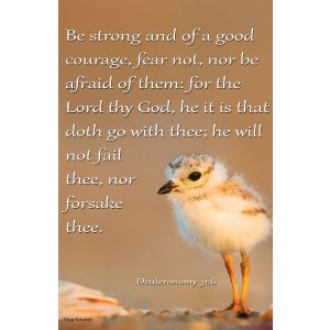 Bible Verse Garden Flag Deuteronomy 31:6 Be Strong Double Sided Yard Banner