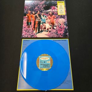Butterfly 3000 [Indonesian] by King Gizzard & the Lizard Wizard (Record, 2022)