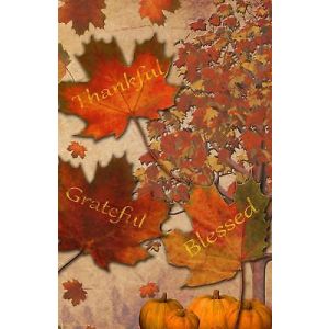 Thankful Grateful Blessed Fall Leaves Garden Flag Emotes Double Sided Pumpkins