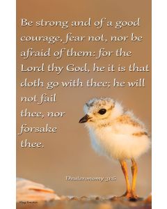 Bible Verse Garden Flag Deuteronomy 31:6 Be Strong Double Sided Yard Banner